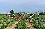 صندوق أبوظبي للتنمية يساهم في تحسين الظروف الاقتصادية والاجتماعية