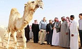 KSA cooperates with New Zealand to genetically develop livestock breeds