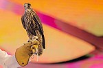 Saudi Falcons Club has achieved ‘quantum leap,’ says German visitor