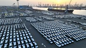 DP World sets automotive record in UAE, handling over 1 million vehicles in 2024