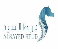 Alsayed Stud Alsayed Stud