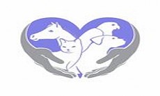 Elite Veterinary Clinic Elite Veterinary Clinic