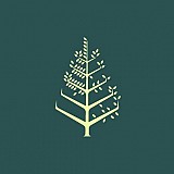 منتجع فورسيزونز شرم الشيخ منتجع فورسيزونز شرم الشيخ