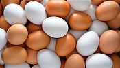 Sharp increase in egg prices