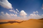 Discover the Wildlife of the Empty Quarter during a Desert Walk organized by Qasr Al Sarab Desert Resort by Anantara