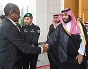 Deputy crown prince meets Mauritanian defense minister