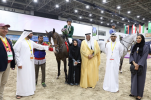 audi Arabia to Participate in all Arab Women Sports Tournament Contests