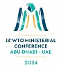 UAE launches host-nation website for WTO’s 13th Ministerial Conference