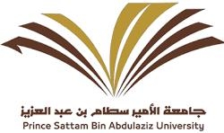 Prince Sattam bin Abdul Aziz University