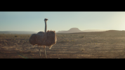 Ostrich’ - Samsung Electronics’ Galaxy Brand Commercial - Wins Thirteen Awards, Including Seven Gold Pencils at The One Club Awards 