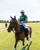 KSA plans to organize own international polo team