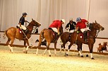 معرض دبي الدولي للخيل 2016 يجتذب عُشّاق الخيول على المستويين الإقليمي والدولي